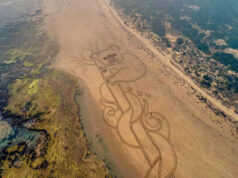 Australian Artist | Breathe A Blue Ocean |Highlights Animal Plight Breathe a Blue Ocean | Sand Art