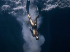 Freediving Cameraman Daan Verhoeven Daan Verhoeven | Freediving