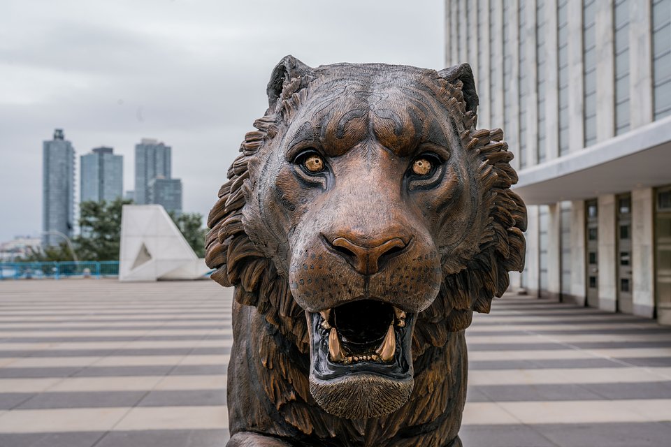 Sonny Bronze Tiger at UN