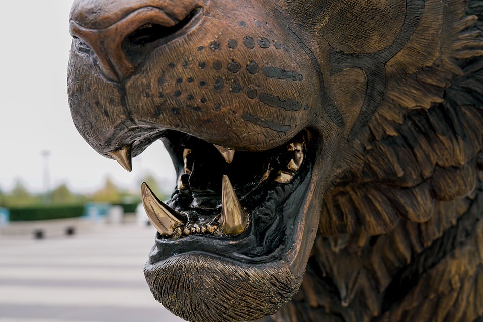 Sonny Bronze Tiger at UN