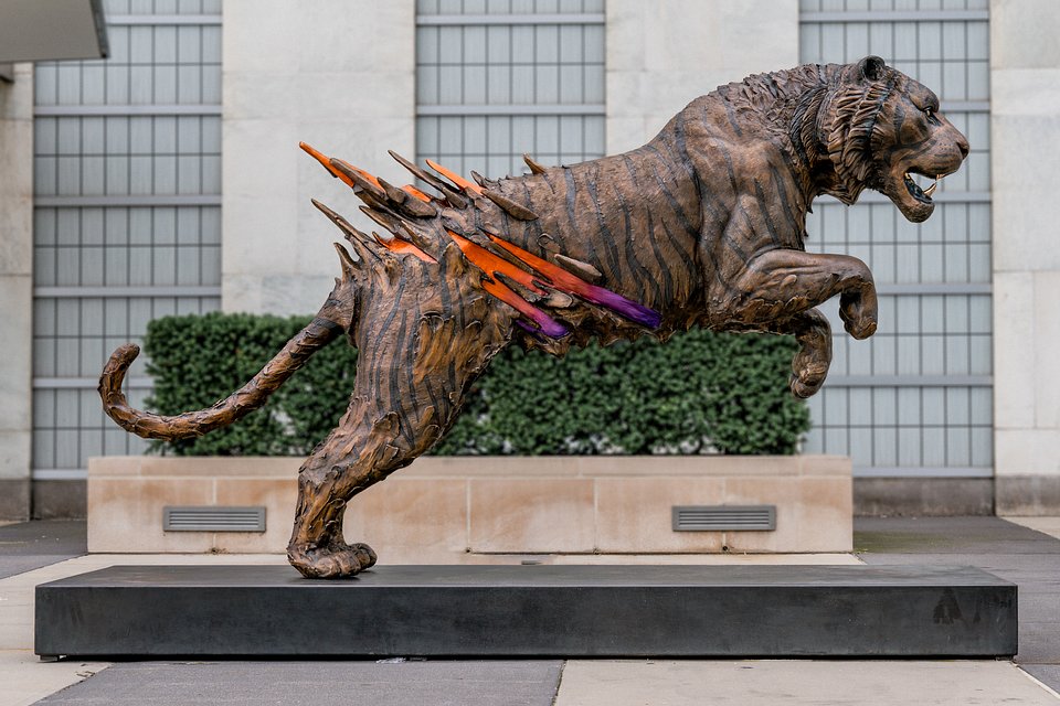 Sonny Bronze Tiger at UN