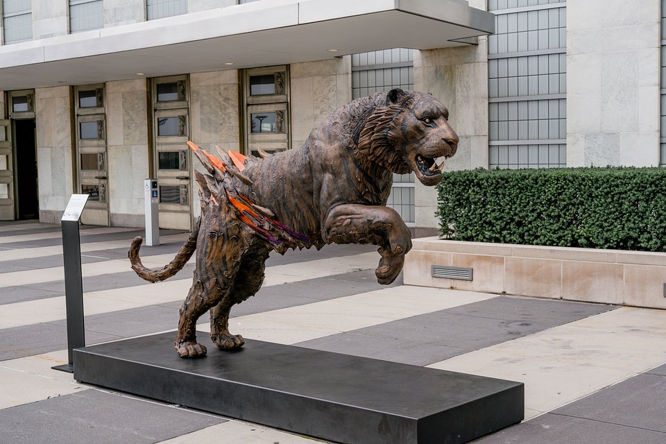 Sonny Bronze Tiger at UN