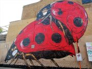 Dzia Ladybirds Mural in Belgium Dzia Mural in Dendermonde