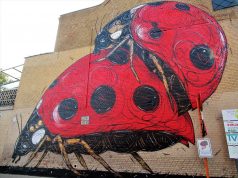 Dzia Ladybirds Mural in Belgium Dzia Mural in Dendermonde