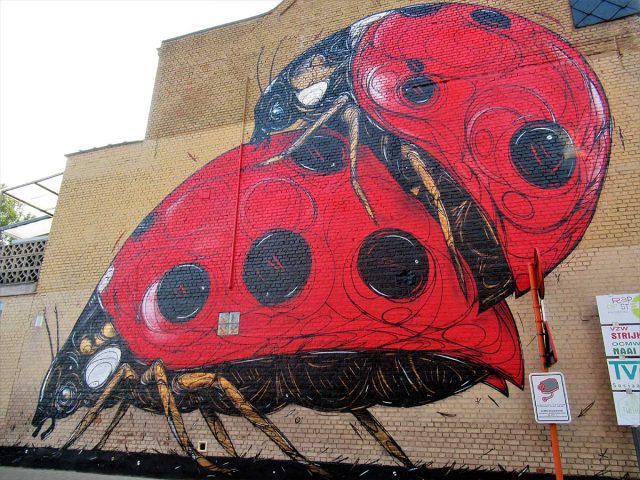 Dzia-Dendermonde-4 Dzia Mural in Dendermonde